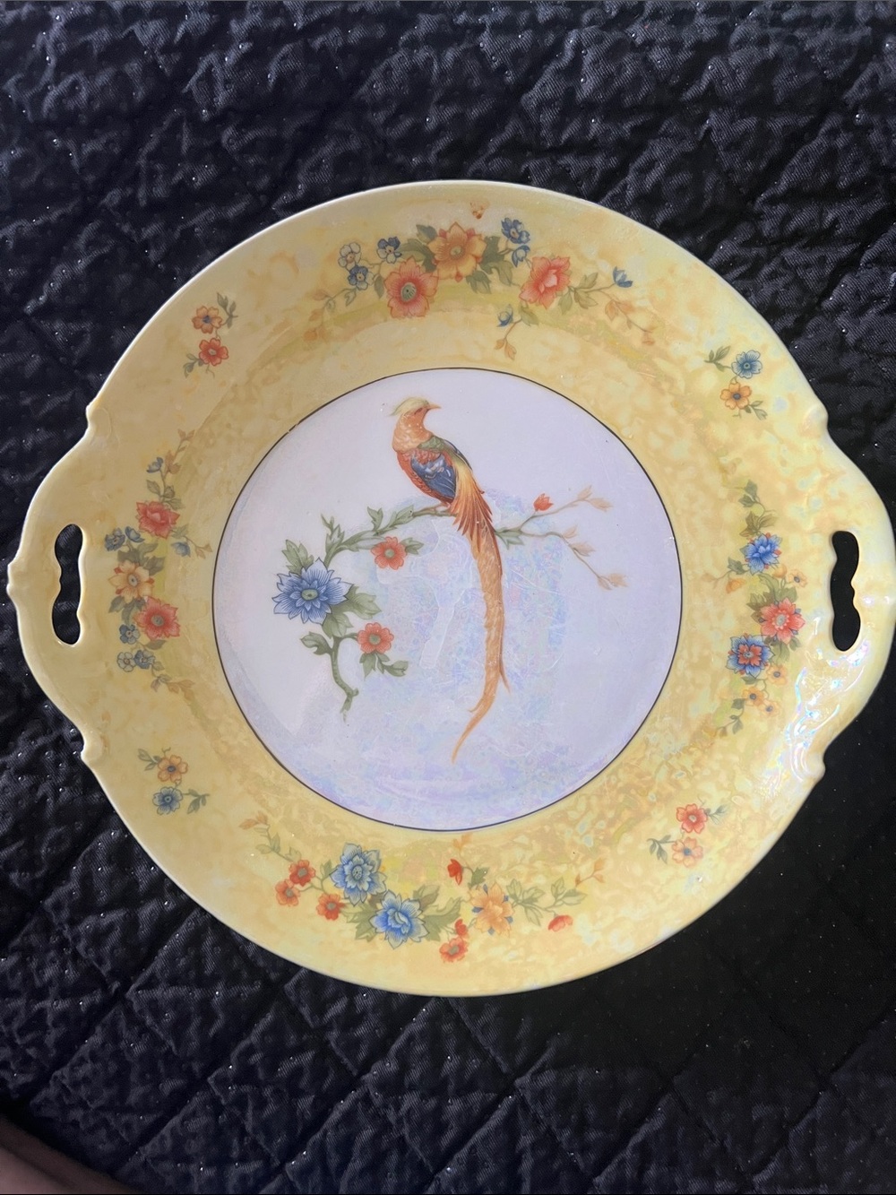 Antique MZ Altrohlau Czechoslovakia Golden Pheasant Handled Plate c. 1920